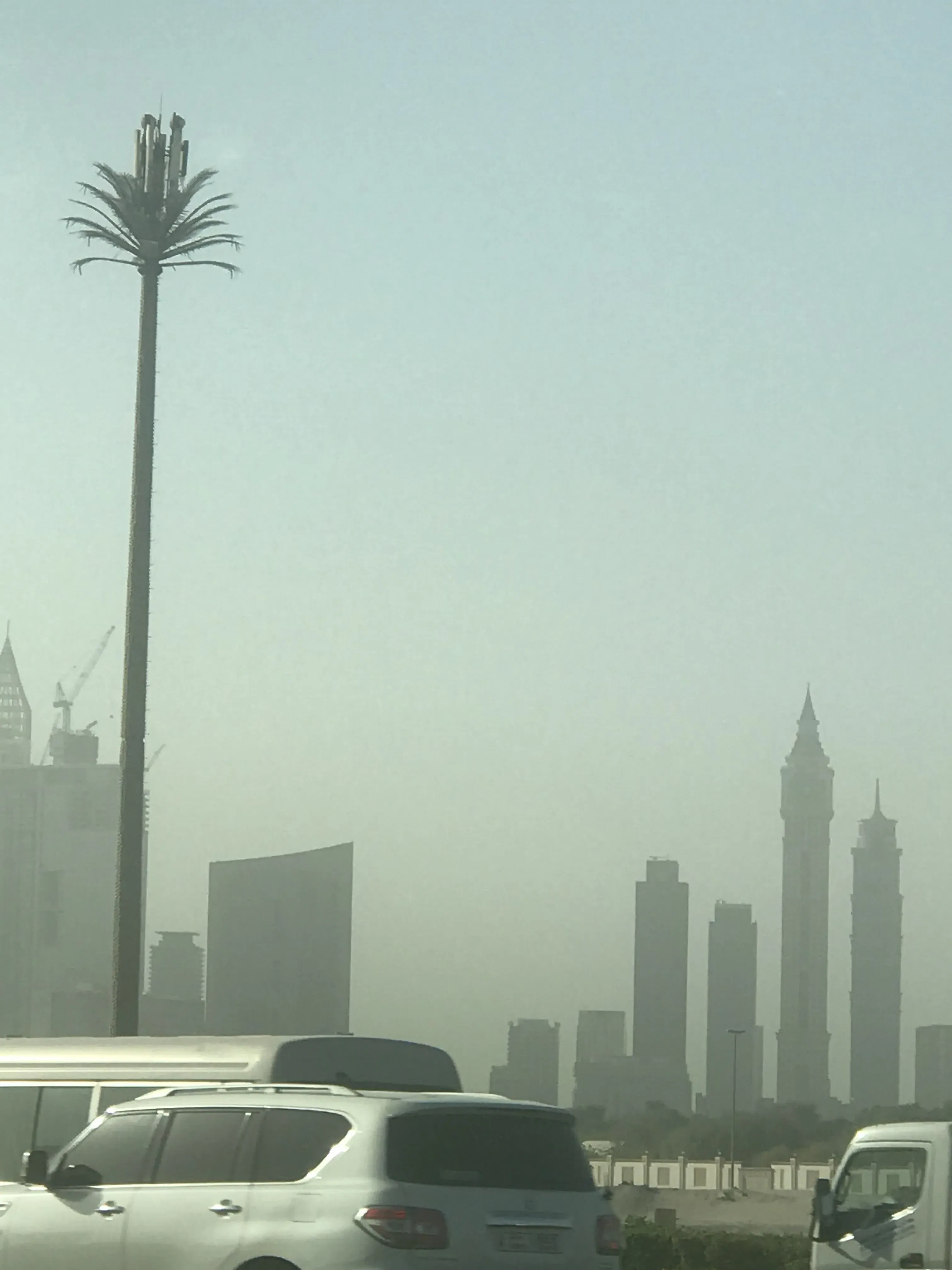 Palm Antenna