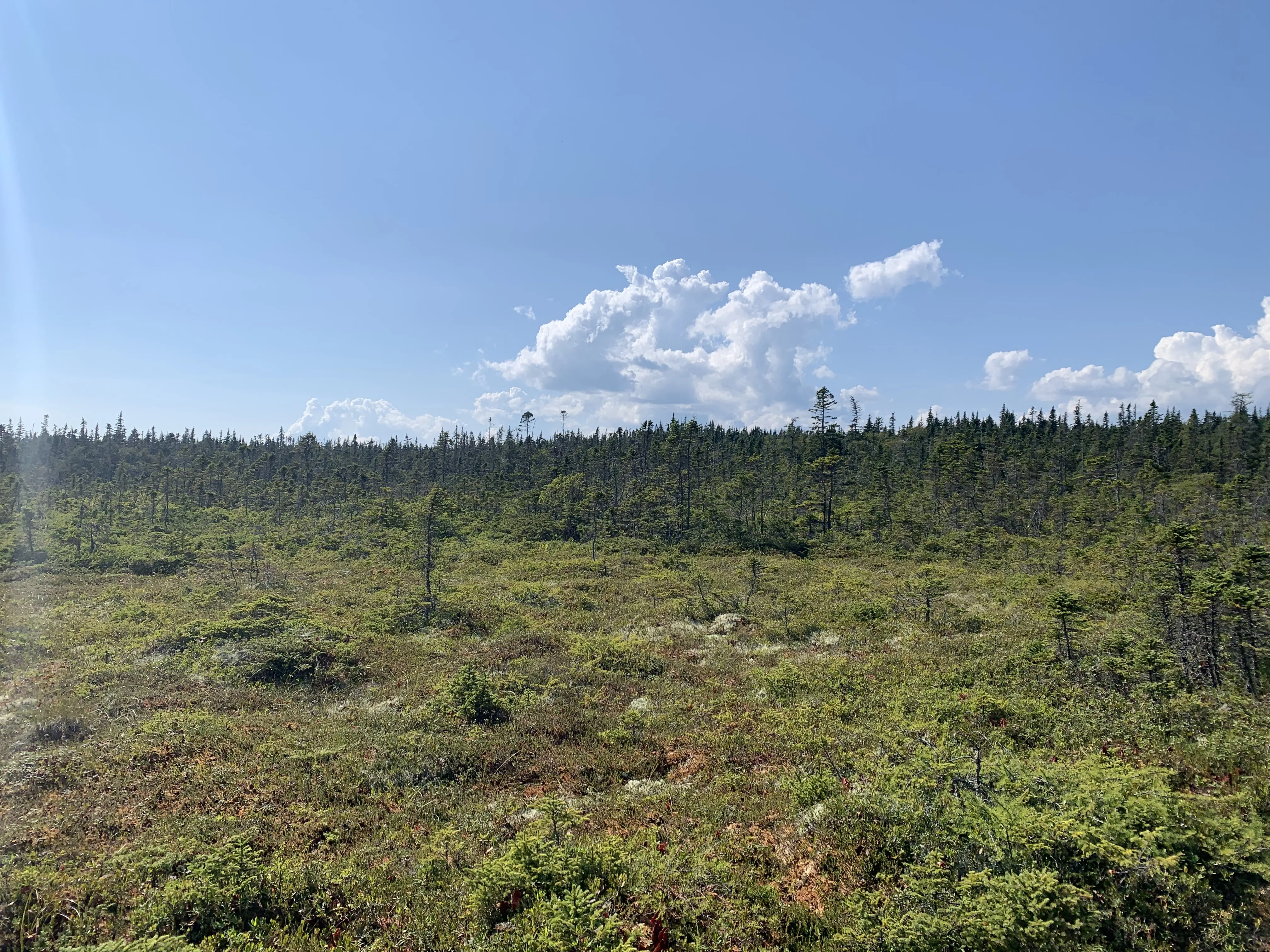Quoddy Head State Park